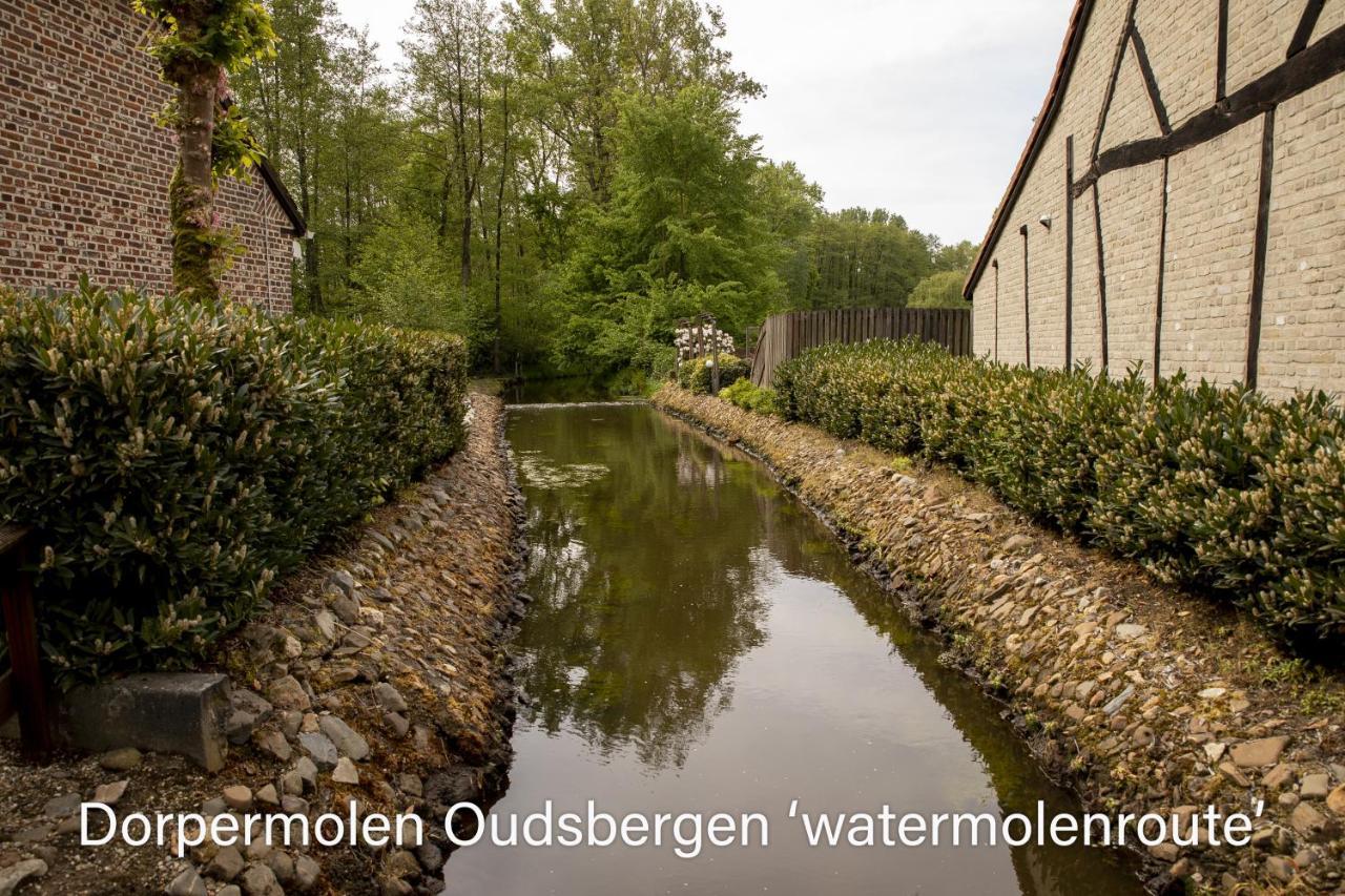 Vakantiewoning Heidebos In Het Nationaal Park Hoge Kempen Opglabbeek Exterior photo
